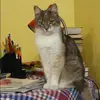 Отзыв от Полина Львова